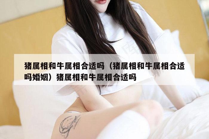 猪属相和牛属相合适吗（猪属相和牛属相合适吗婚姻）猪属相和牛属相合适吗